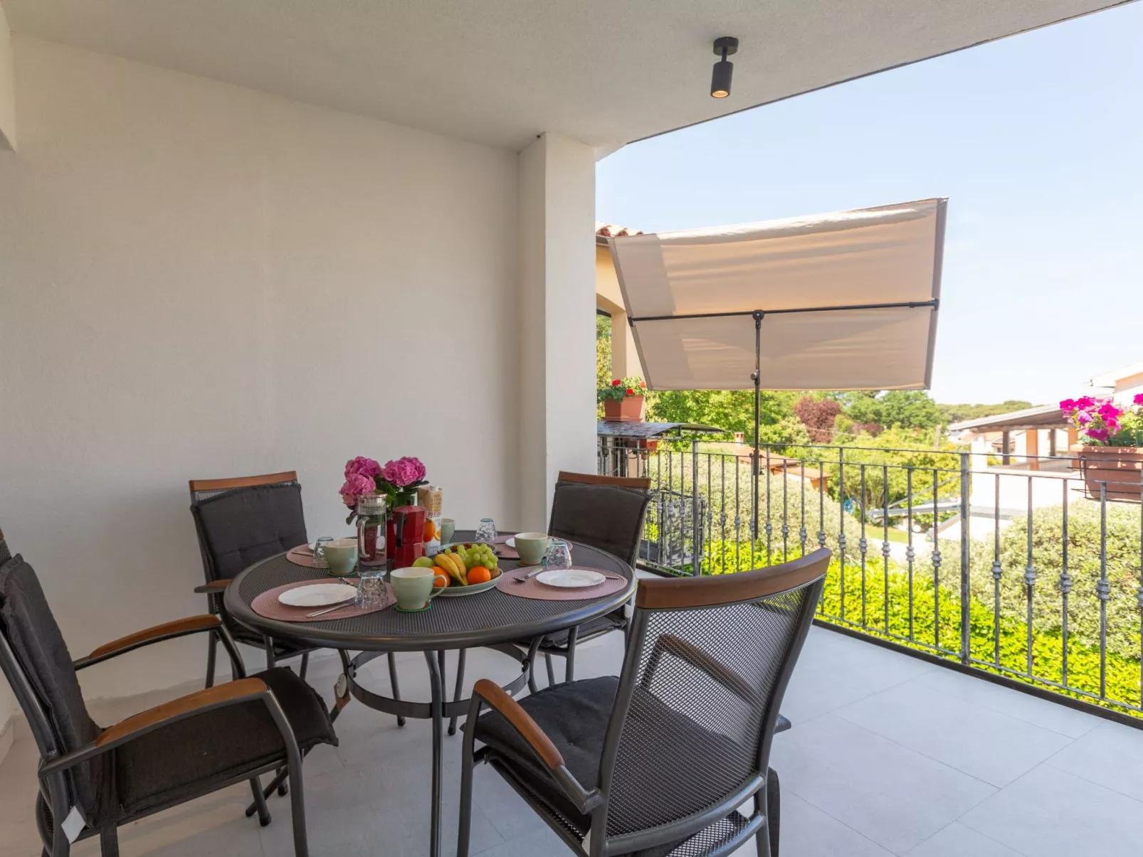 Pineta 2-Image-tags.info