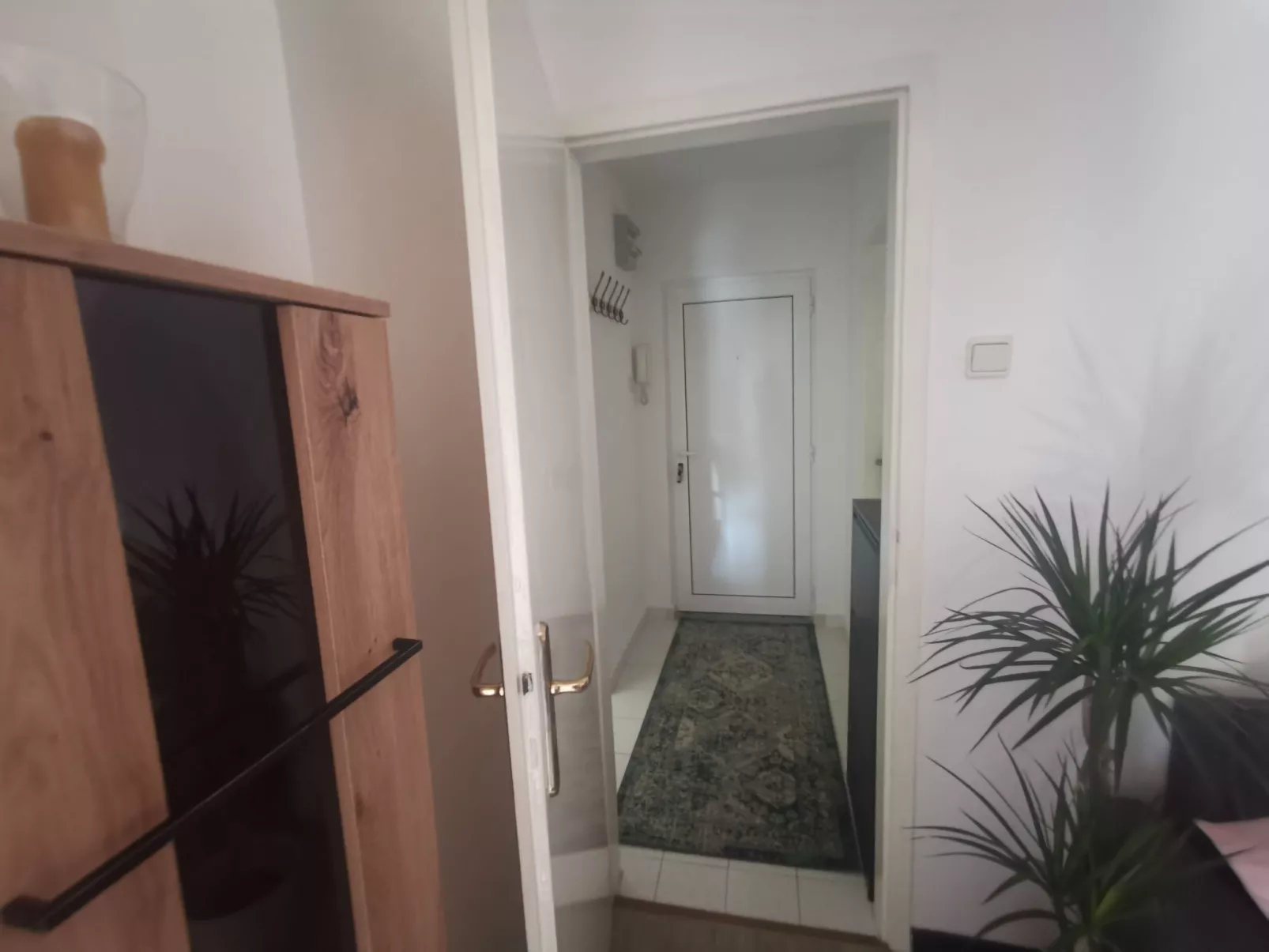 Summer escape Rovinj-Binnen