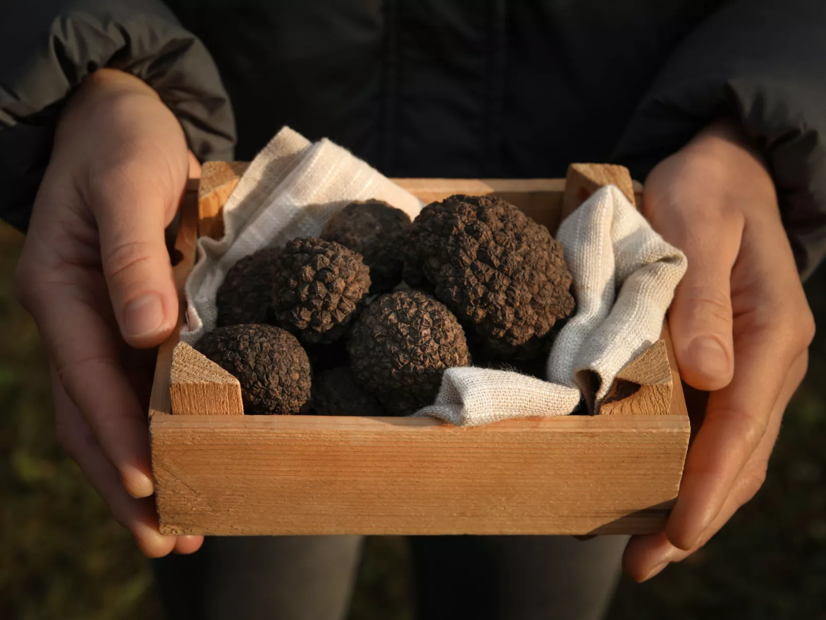 Villa Alte Mühle-Omgeving