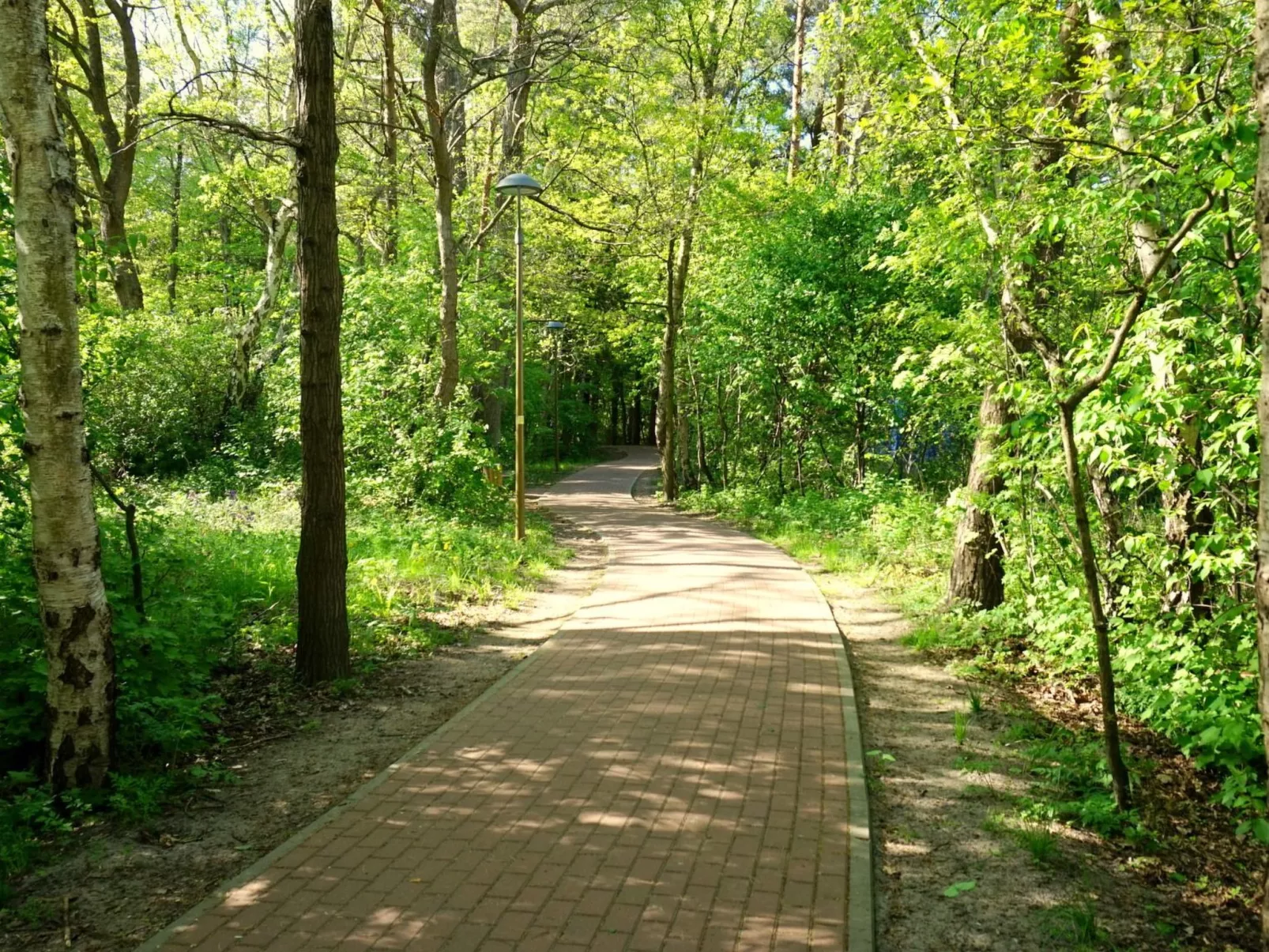 "Paradise Star Bobolin"-Buiten