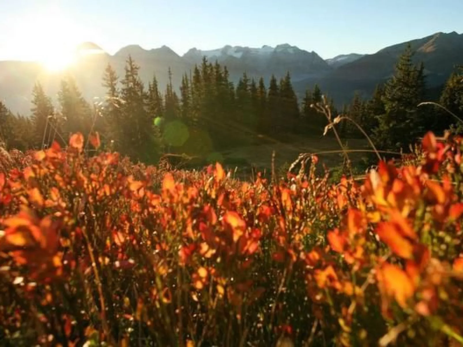 Fewo mit Blick auf die Berge-Image-tags.info