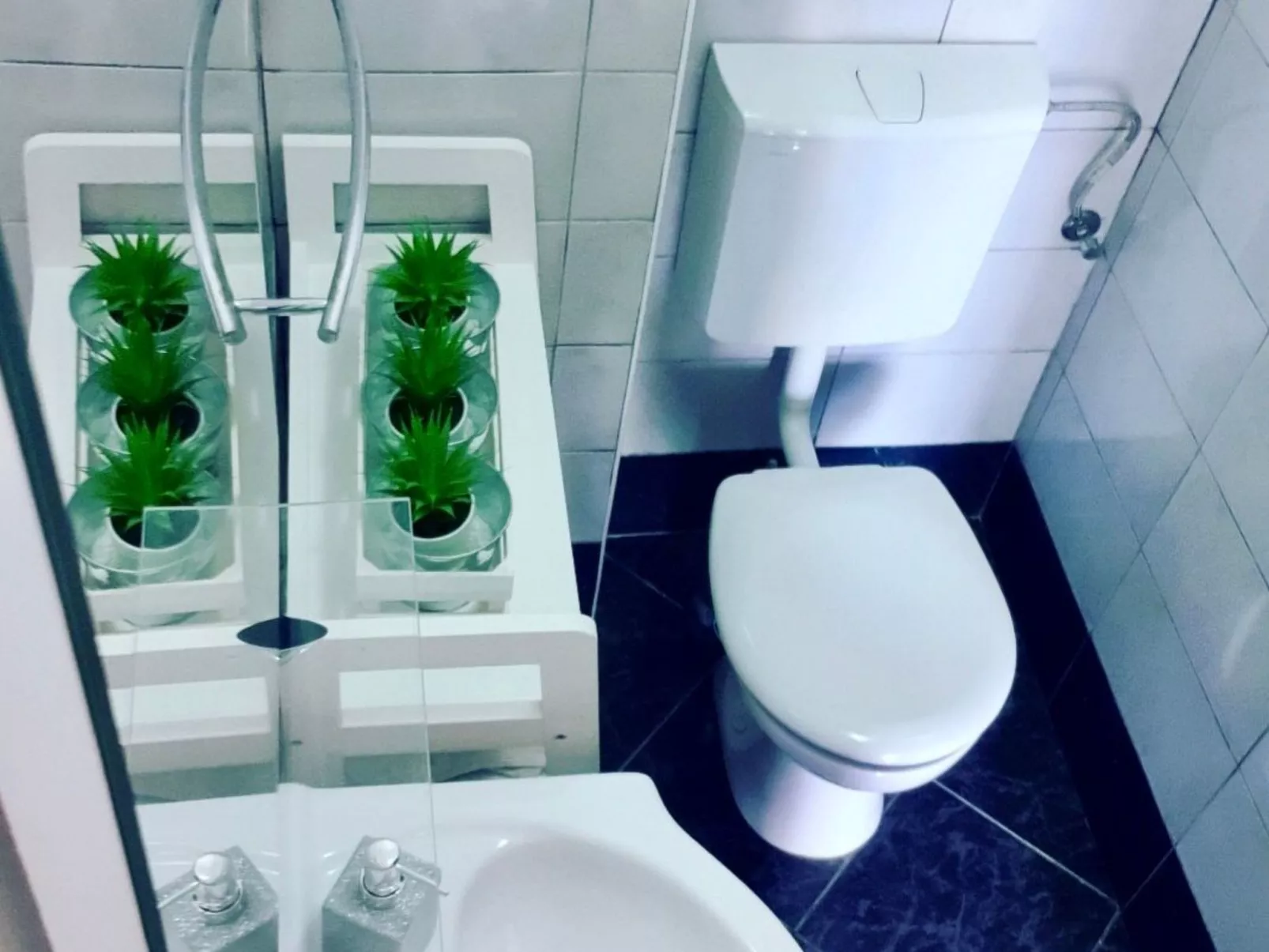 Fabo in Dalmatien-Binnen