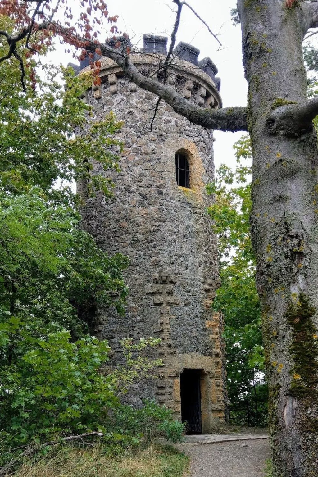 In Goslar mit Terrasse und Grill-Buiten