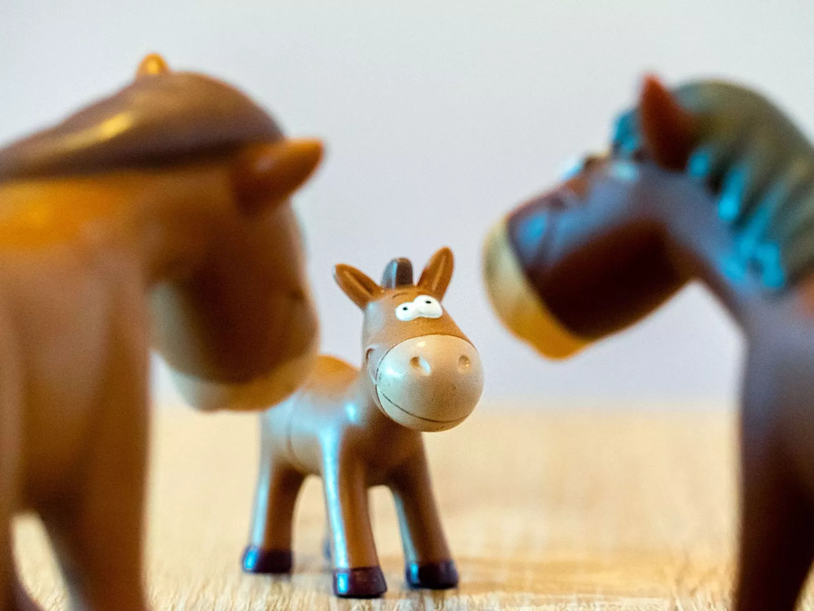 Landhaus Allgeier-Buiten