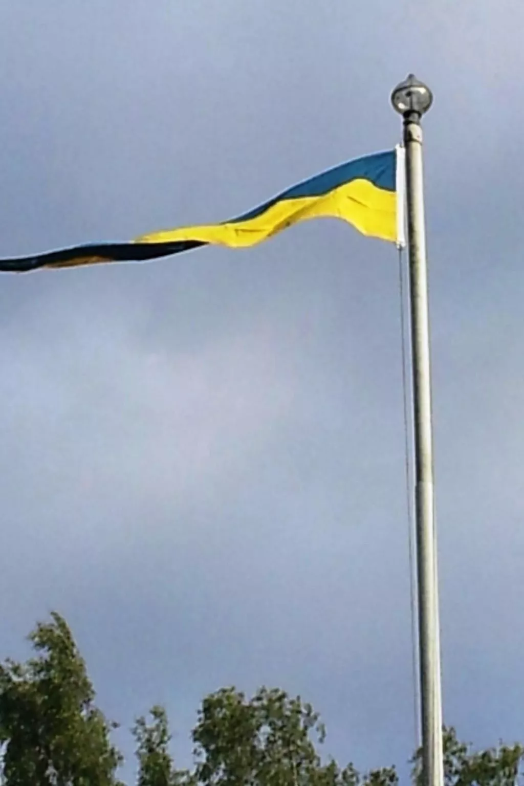 Marhult-Image-tags.info