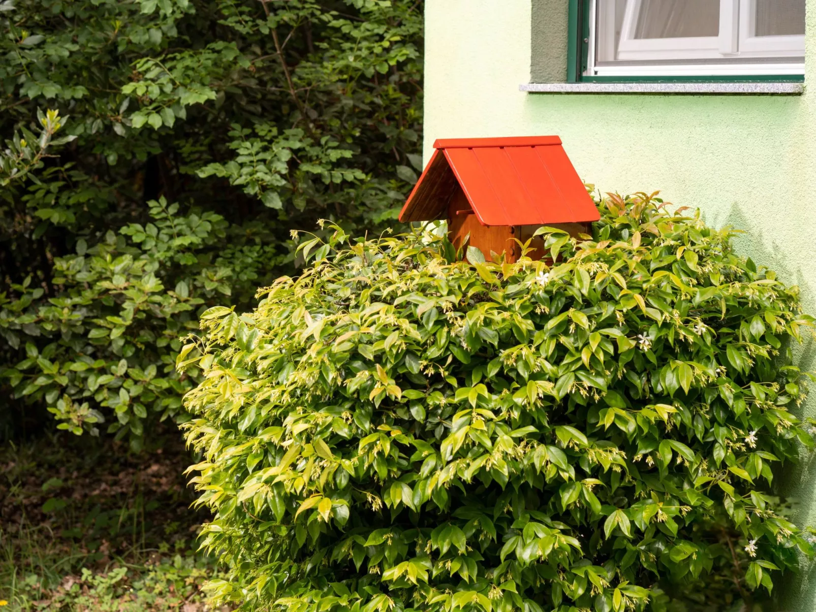 Tiny house Laurel - 70 Meter vom Strand entfernt-Buiten