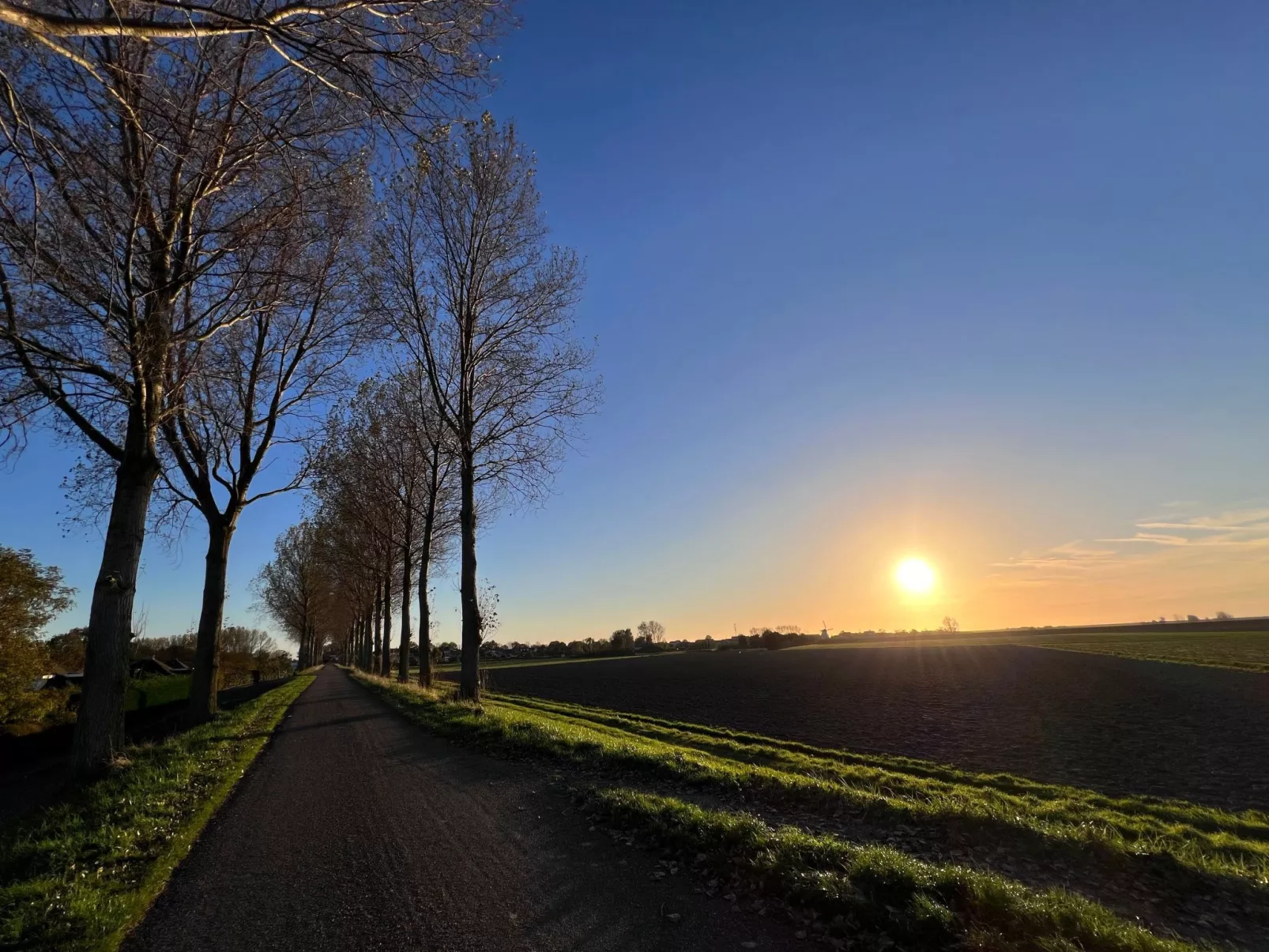 In Stavenisse mit gemütlicher Terrasse-Image-tags.info