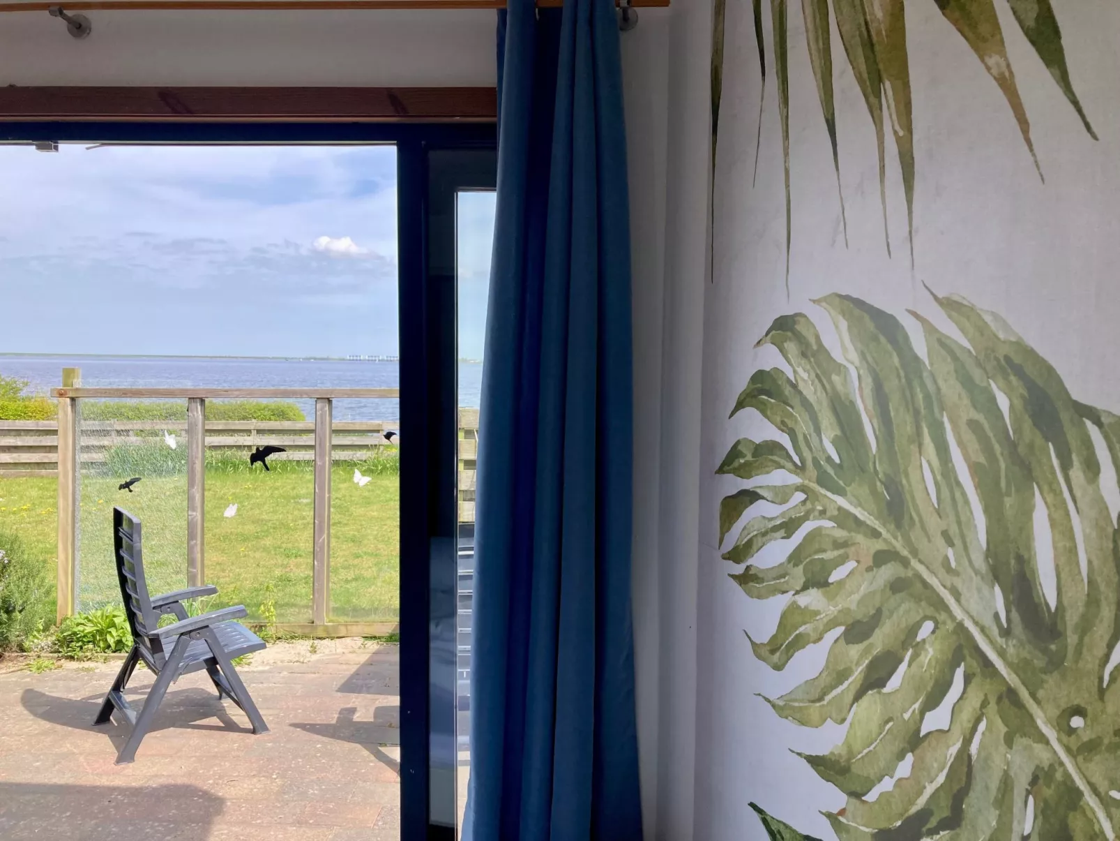 213 Aurora-Image-tags.info