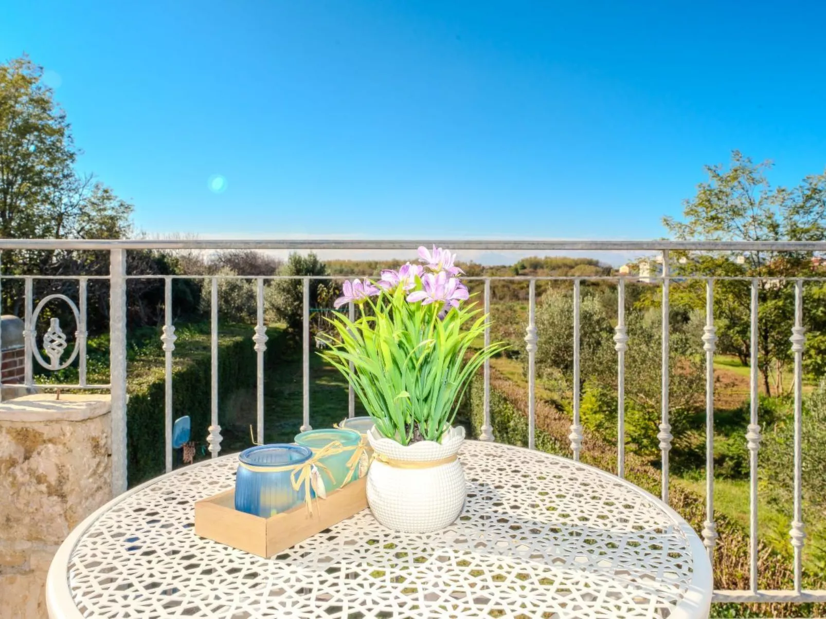 Orhideja - Agentur TA Leut-Buiten