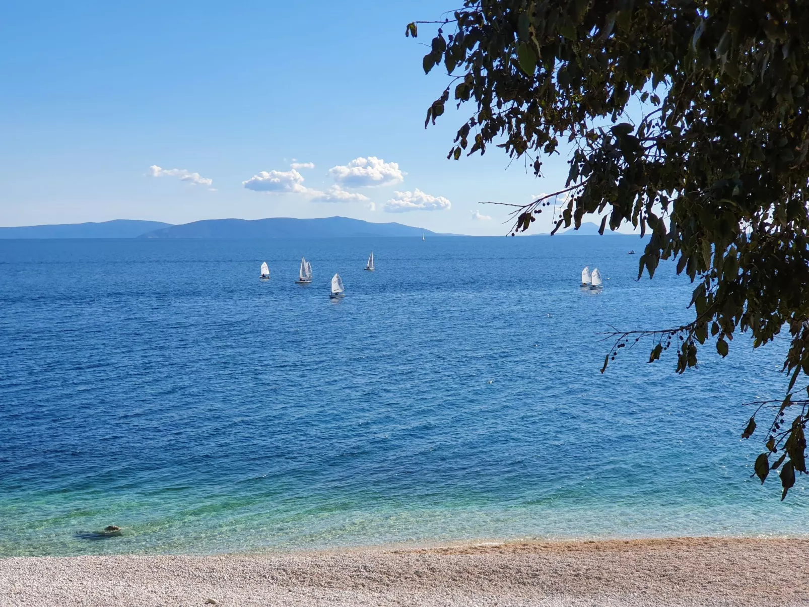 Zwei-Zimmer-Wohnung in der Nähe des Meeres-Image-tags.info