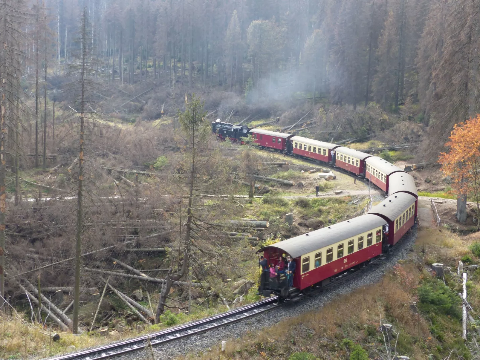 Wohnung in Bad Harzburg mit Garten-Buiten
