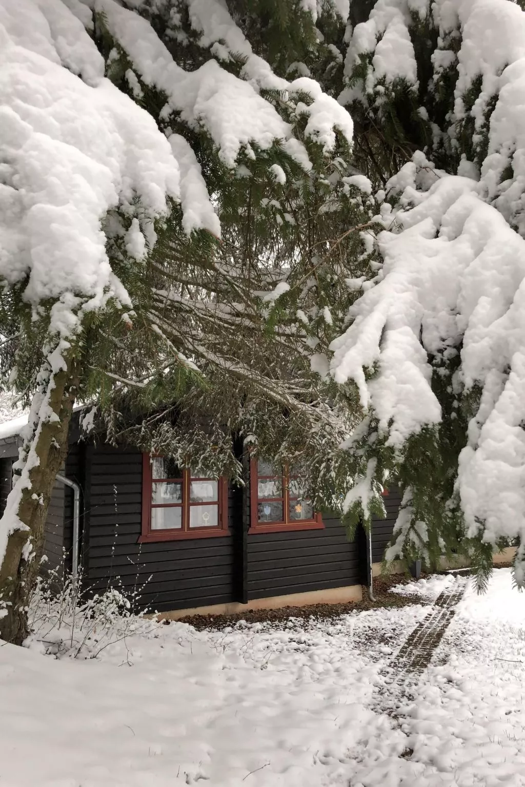 Wunderschönes Ferienhaus am Waldrand-Image-tags.info