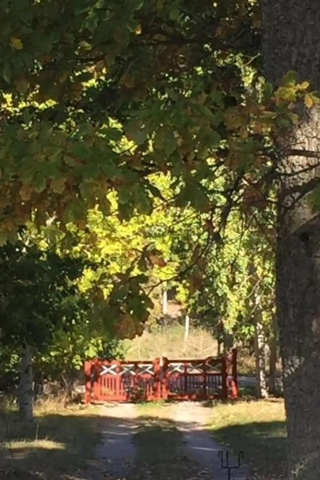 Grosses Sommerhaus direkt am See-Image-tags.info