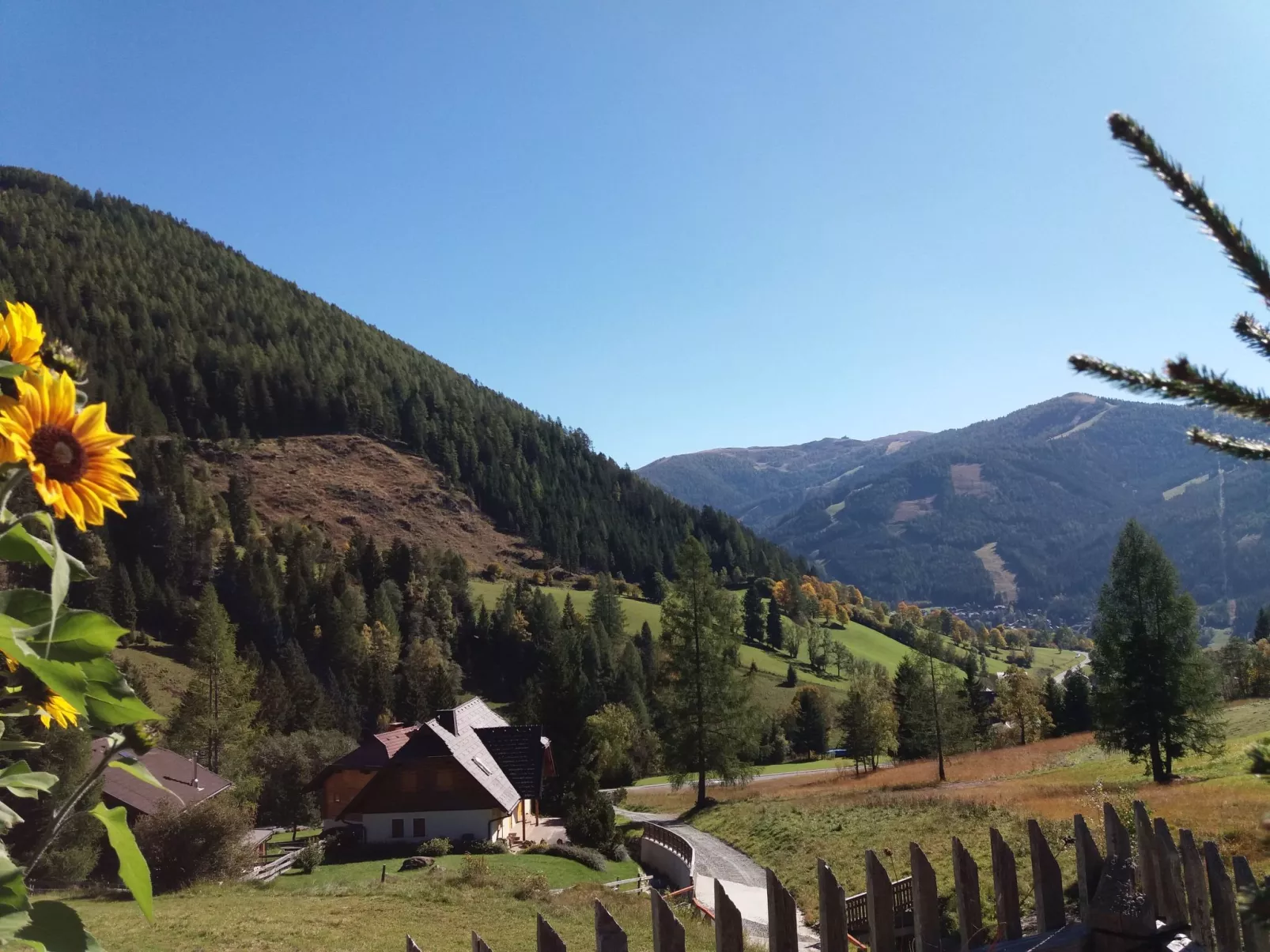 Freistehendes Ferienhaus in idyllischer Lage-Buiten