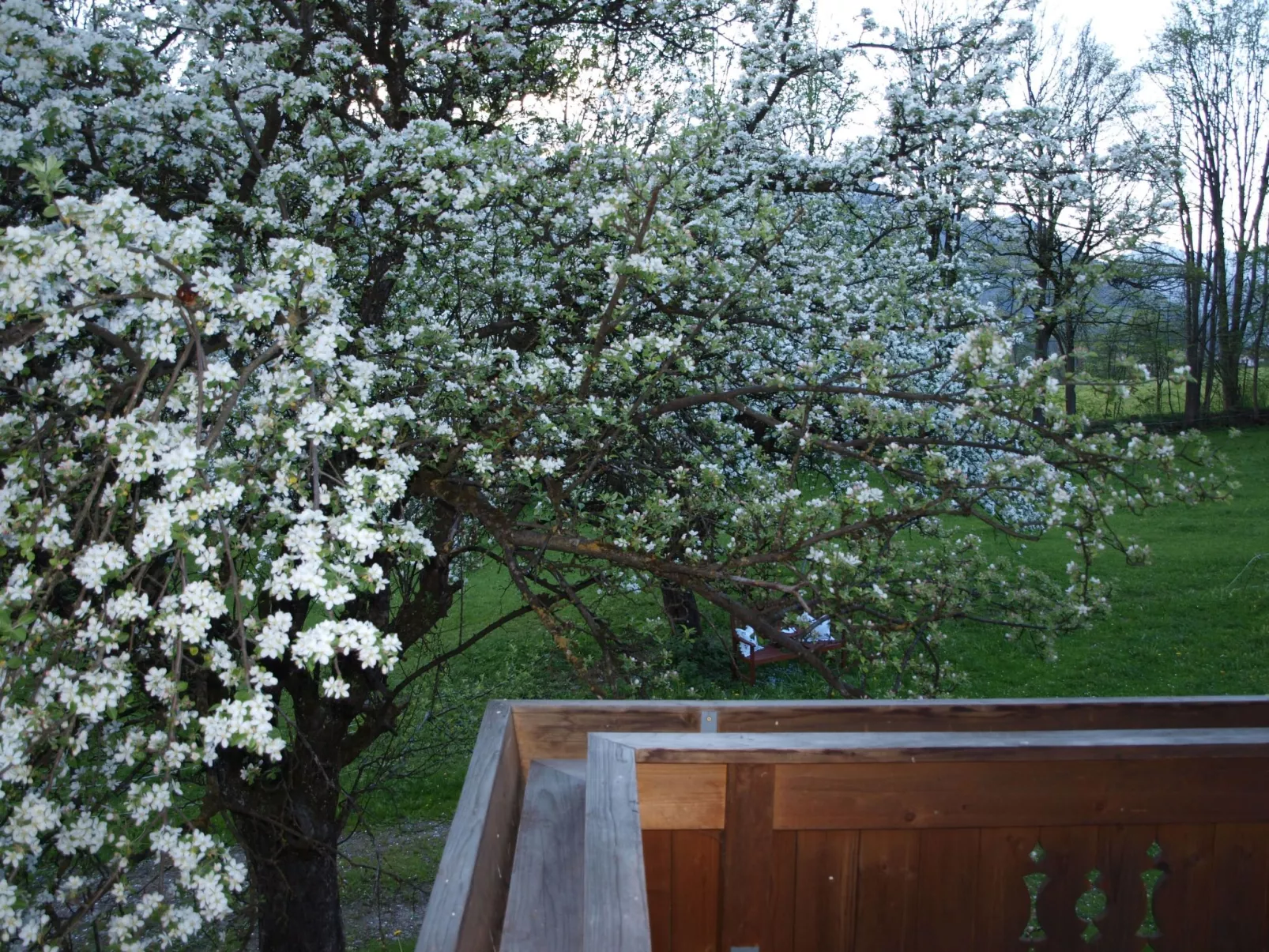 Haus der Natur-Buiten