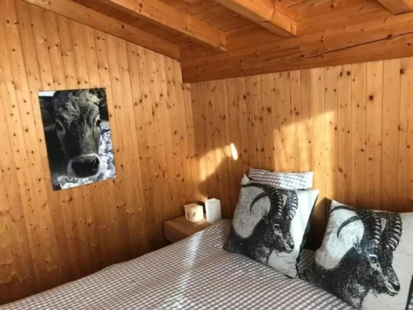 Toggi-Image-tags.info