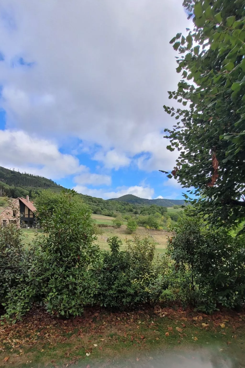 Haus Vosges in Breitenbach-Buiten