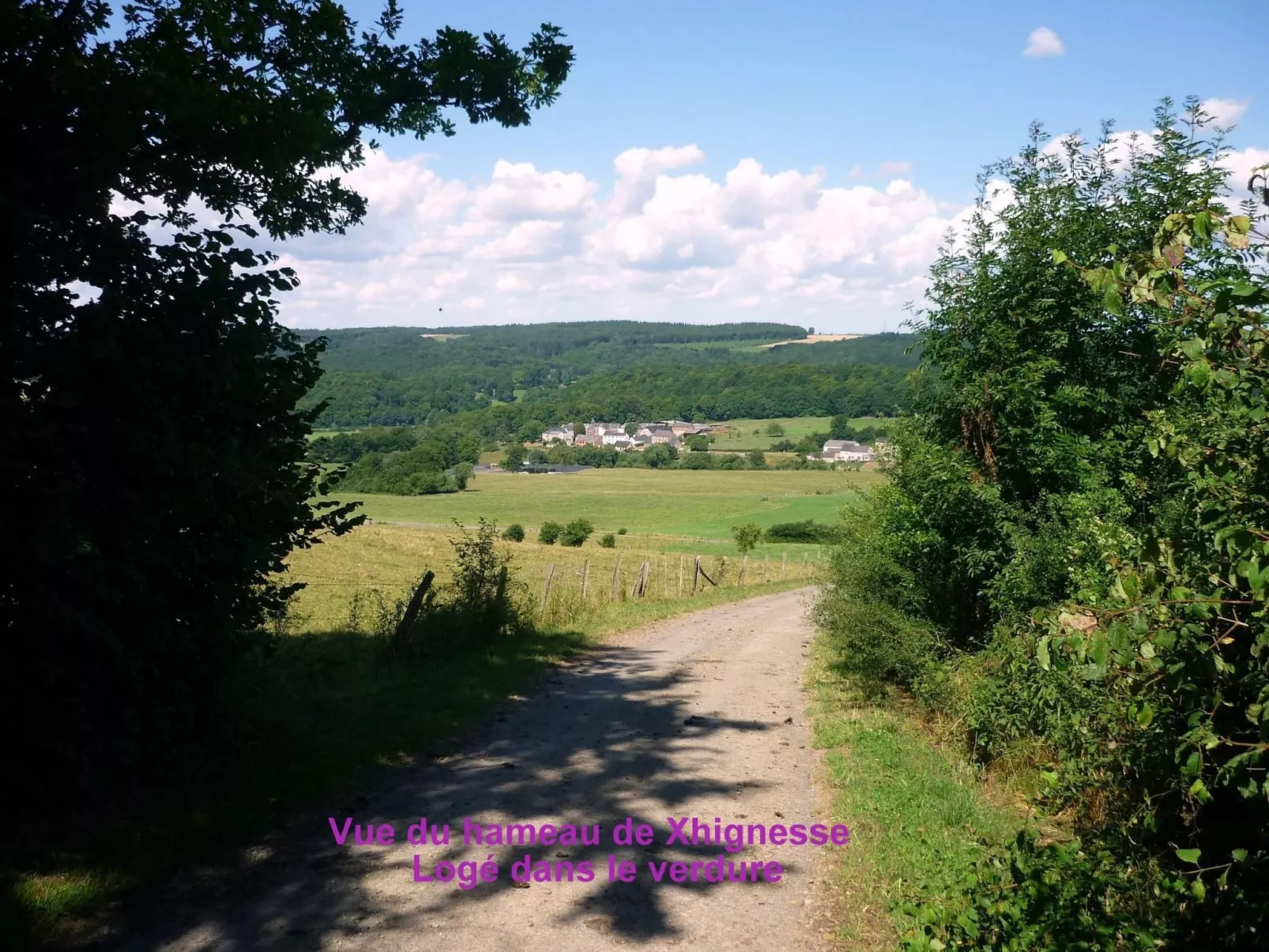 Ardennen Ferienhaus 5 Zimmer 5 Bad 14 Pers Zugang Chaisards-Buiten
