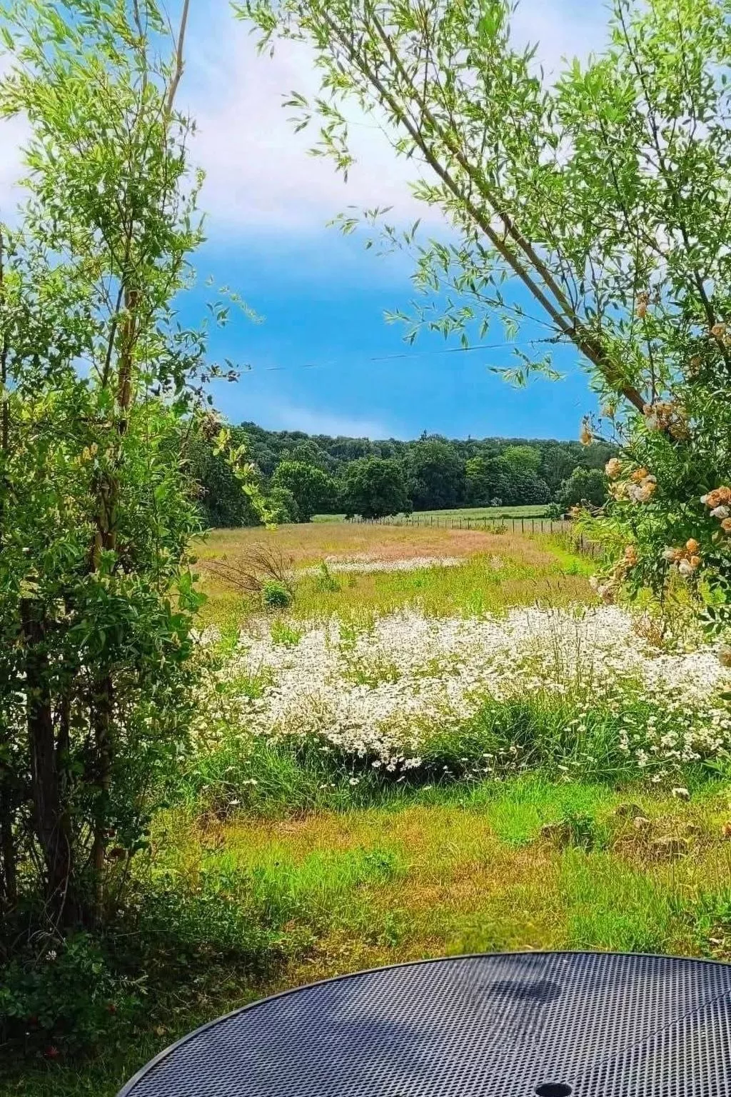Tiny House Sundancer-Buiten