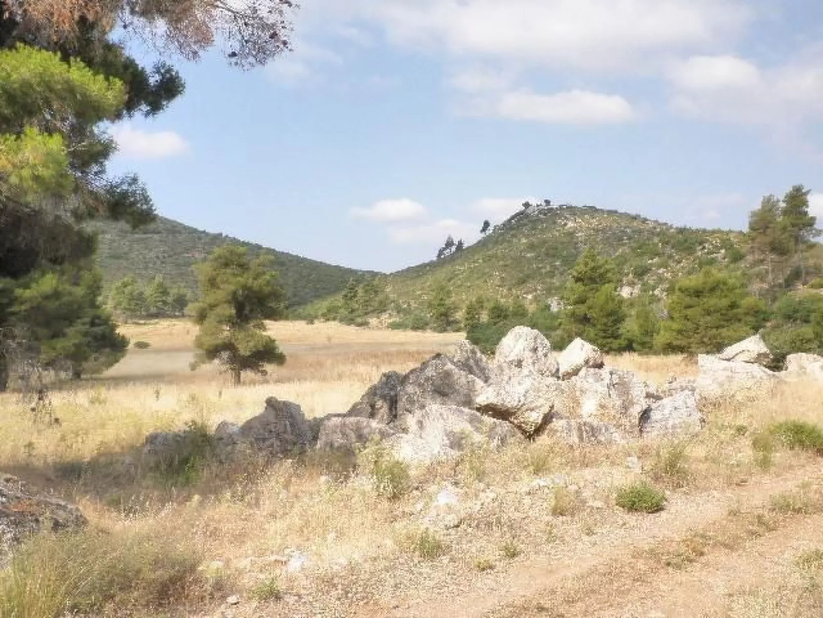 Studio mit Garten-Image-tags.info