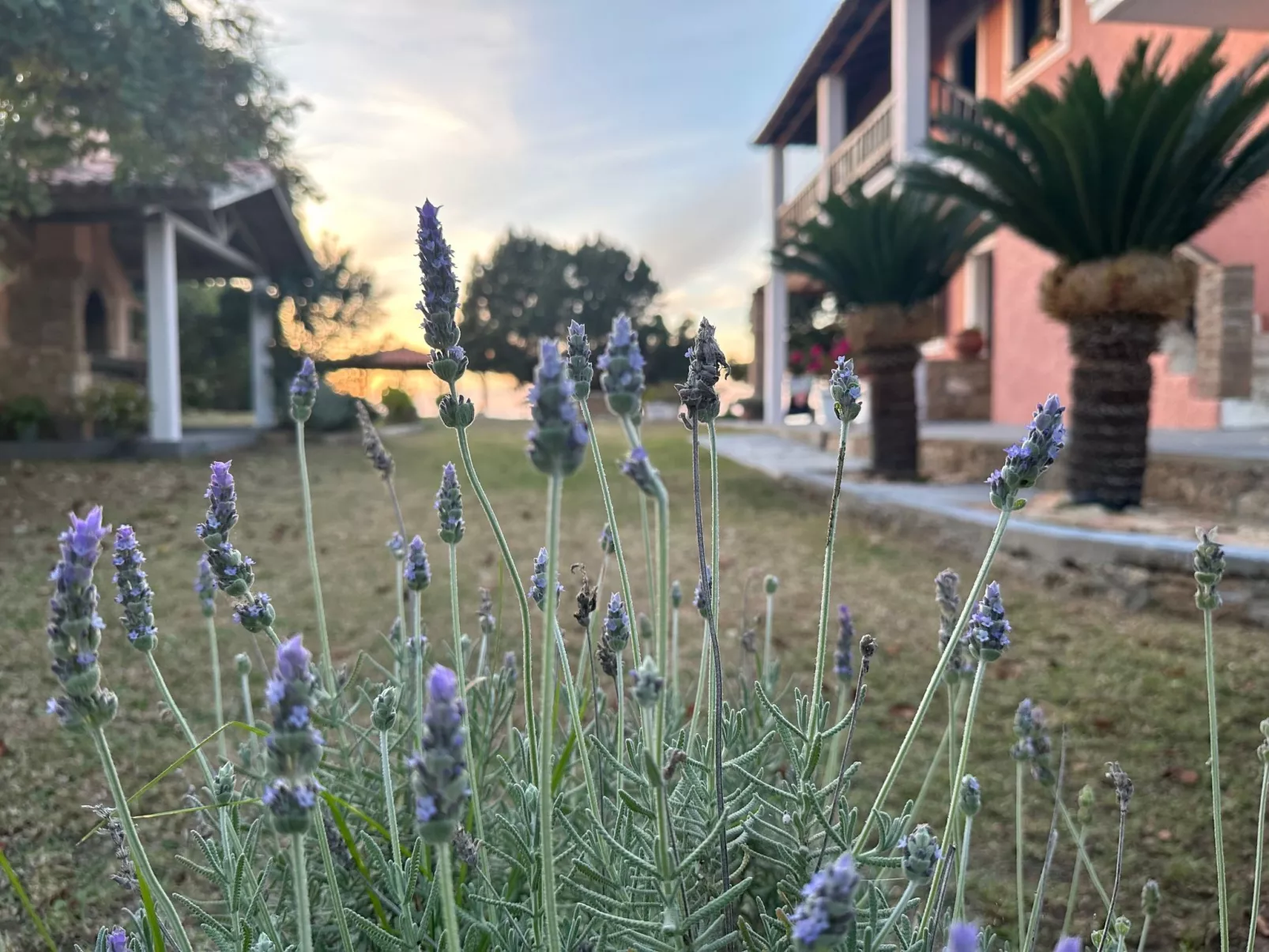 Cottage beachfront-Buiten