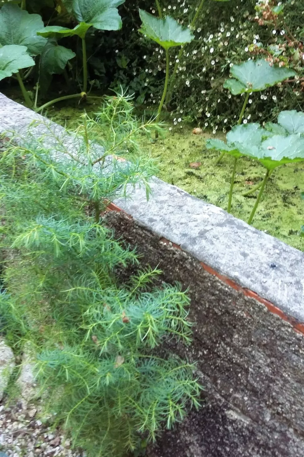 Quinta D'Avó Amélia, wunderschönes Landhaus zwischen den Bergen und dem Meer-Image-tags.info