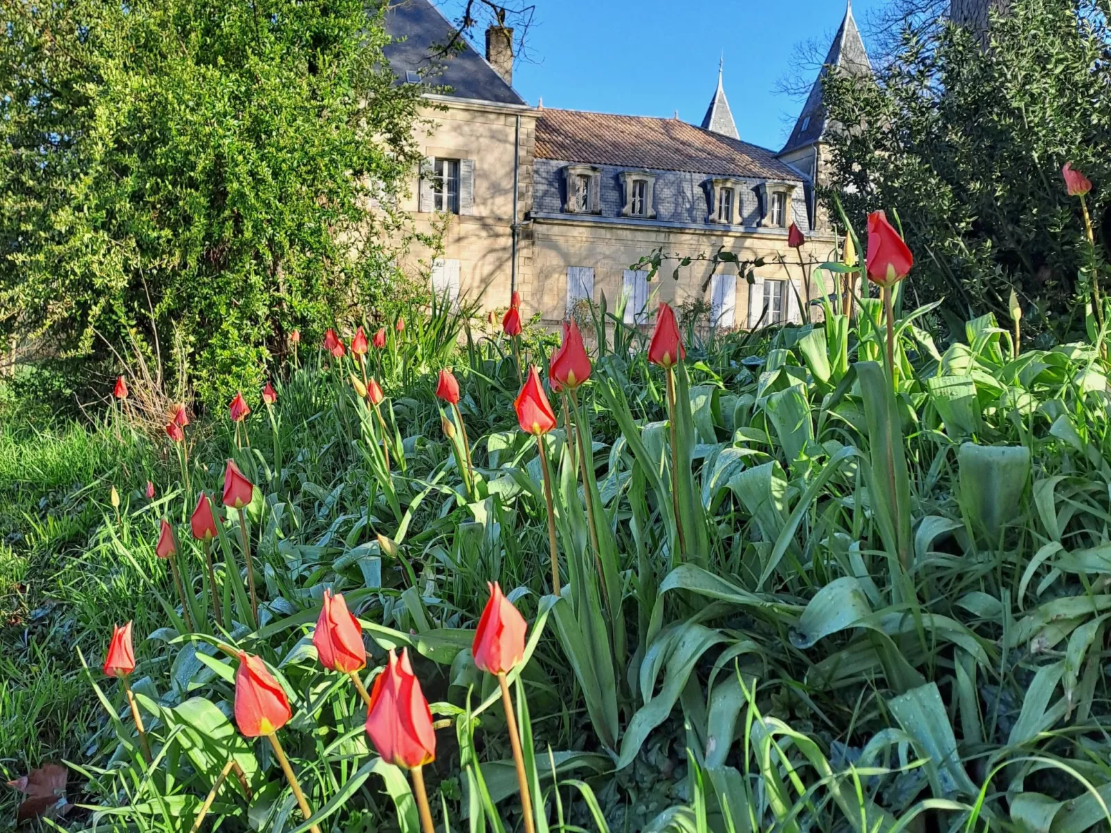 Der Pavillon - im Park des Schlosses Lescaut-Image-tags.info