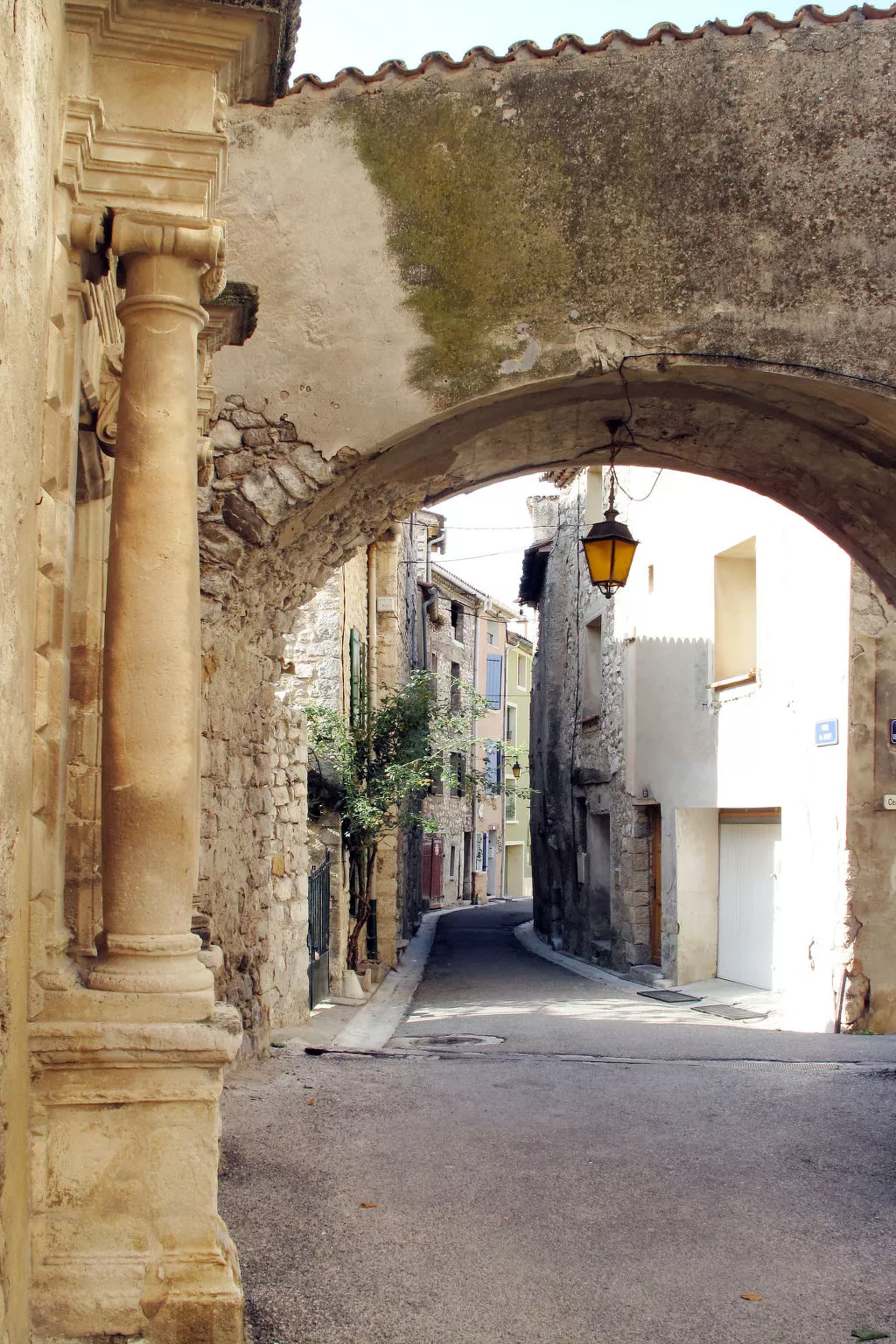 Mit Panoramablick auf den Mont Ventoux-Omgeving