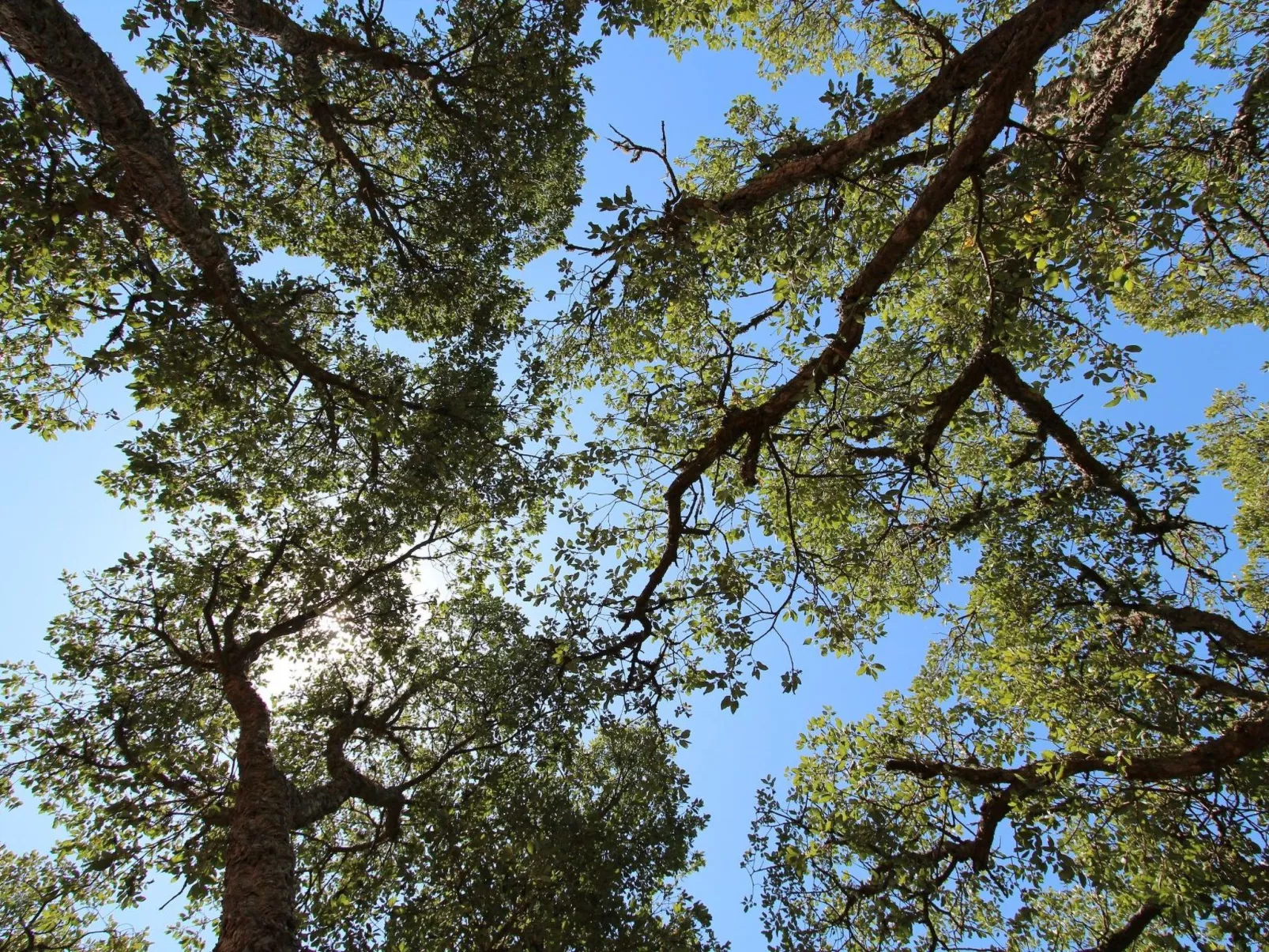 "The Recycle Art" mit Terrasse-Image-tags.info