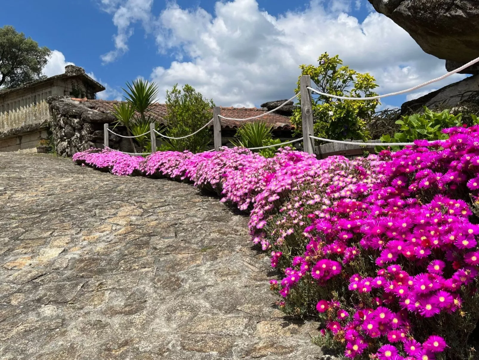 Casas das Olas 3 - Großartige Aussicht, 2 Pools, idealer Ort zum Entspannen und-Buiten