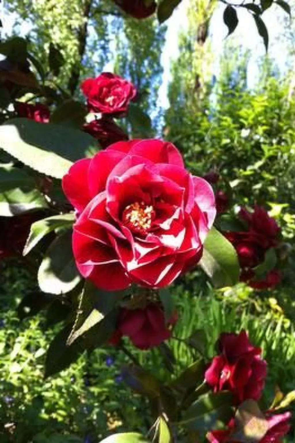 Fewo mit Bergblick-Buiten
