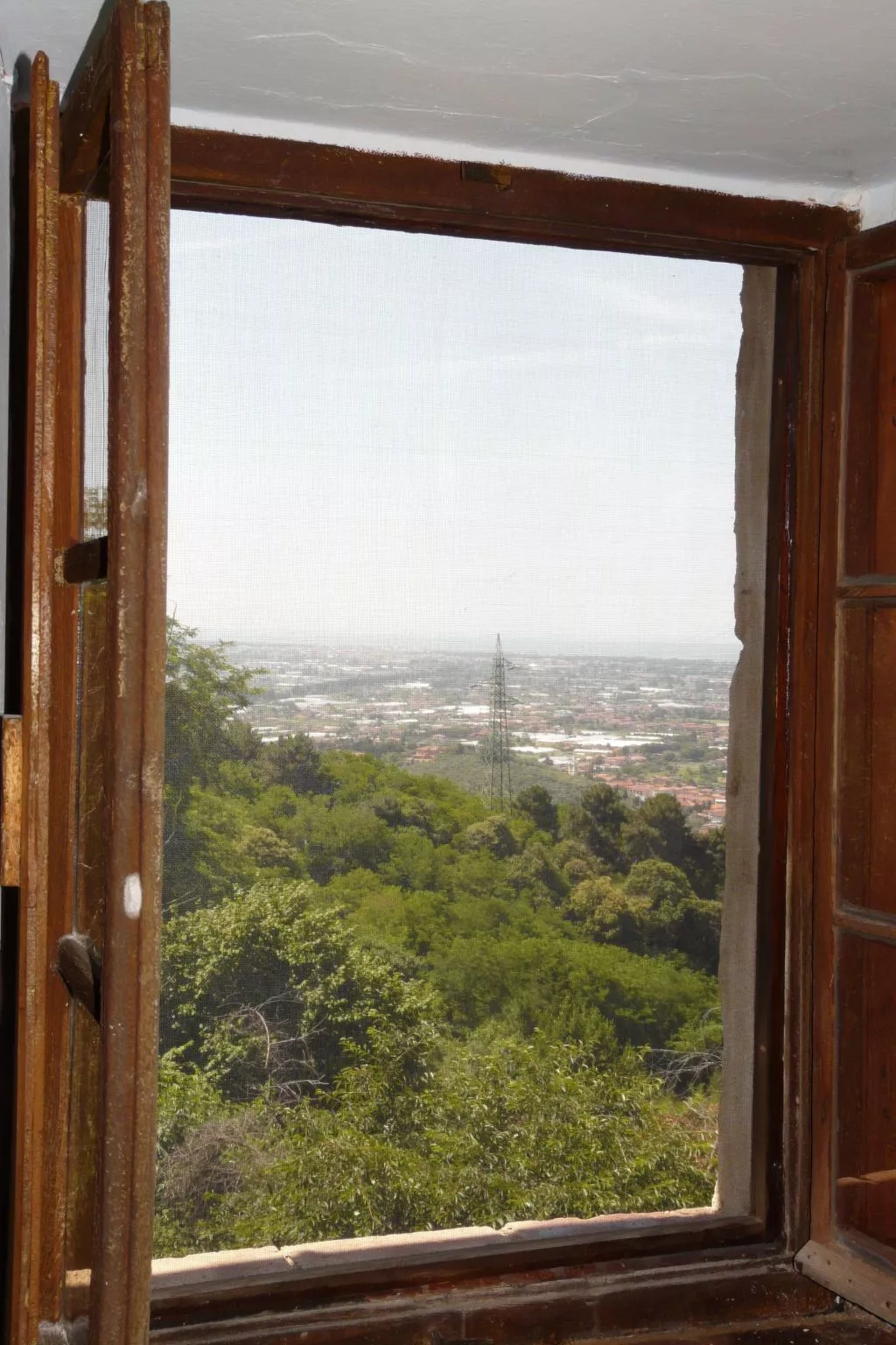 'Graceland' mit Garten und Terrasse-Buiten