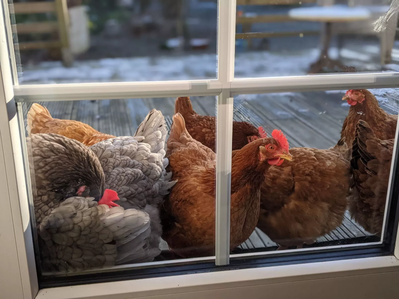 Estate "Le Pressoir" (Die Kelterei)-Buiten