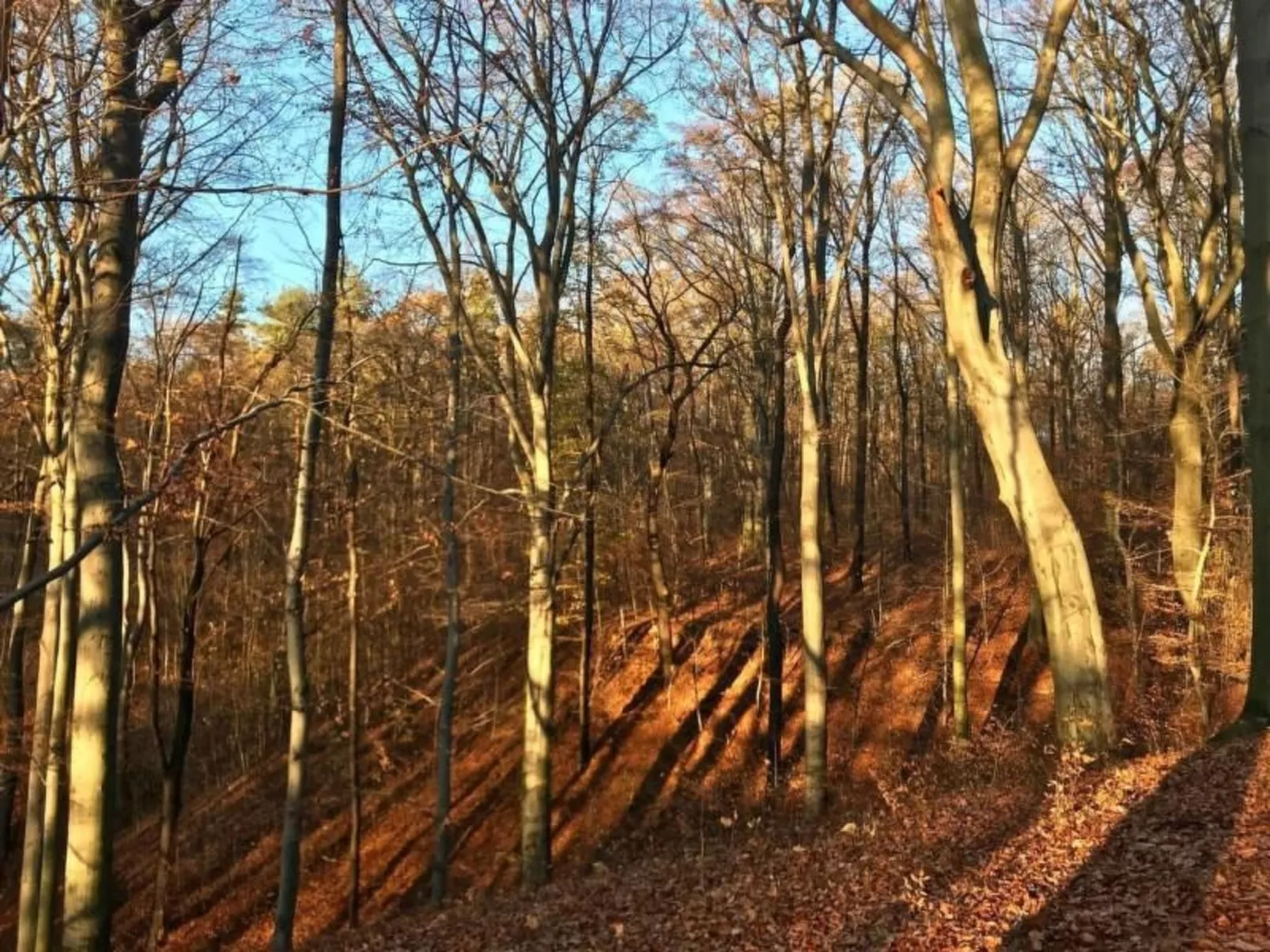 Fewo Natur und Kunst-Buiten