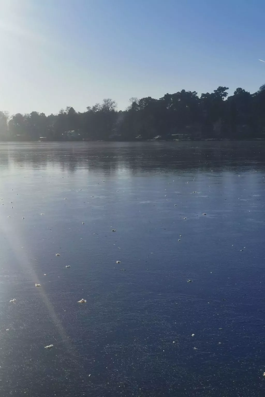 In Müggelheim mit eigener Terrasse-Buiten
