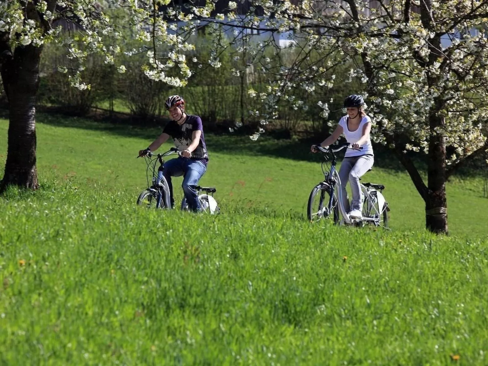 Appartement Gimpl-Buiten