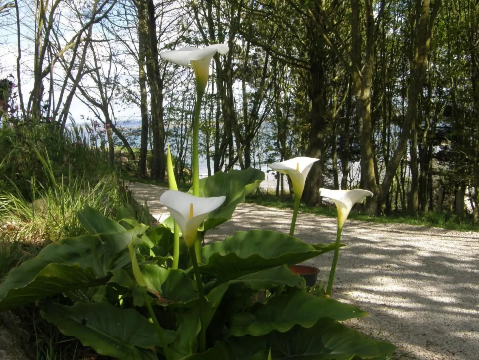 "Tromeal Lasalle" blick auf das Meer. Mit 4 Sternen klassifiziert-Buiten