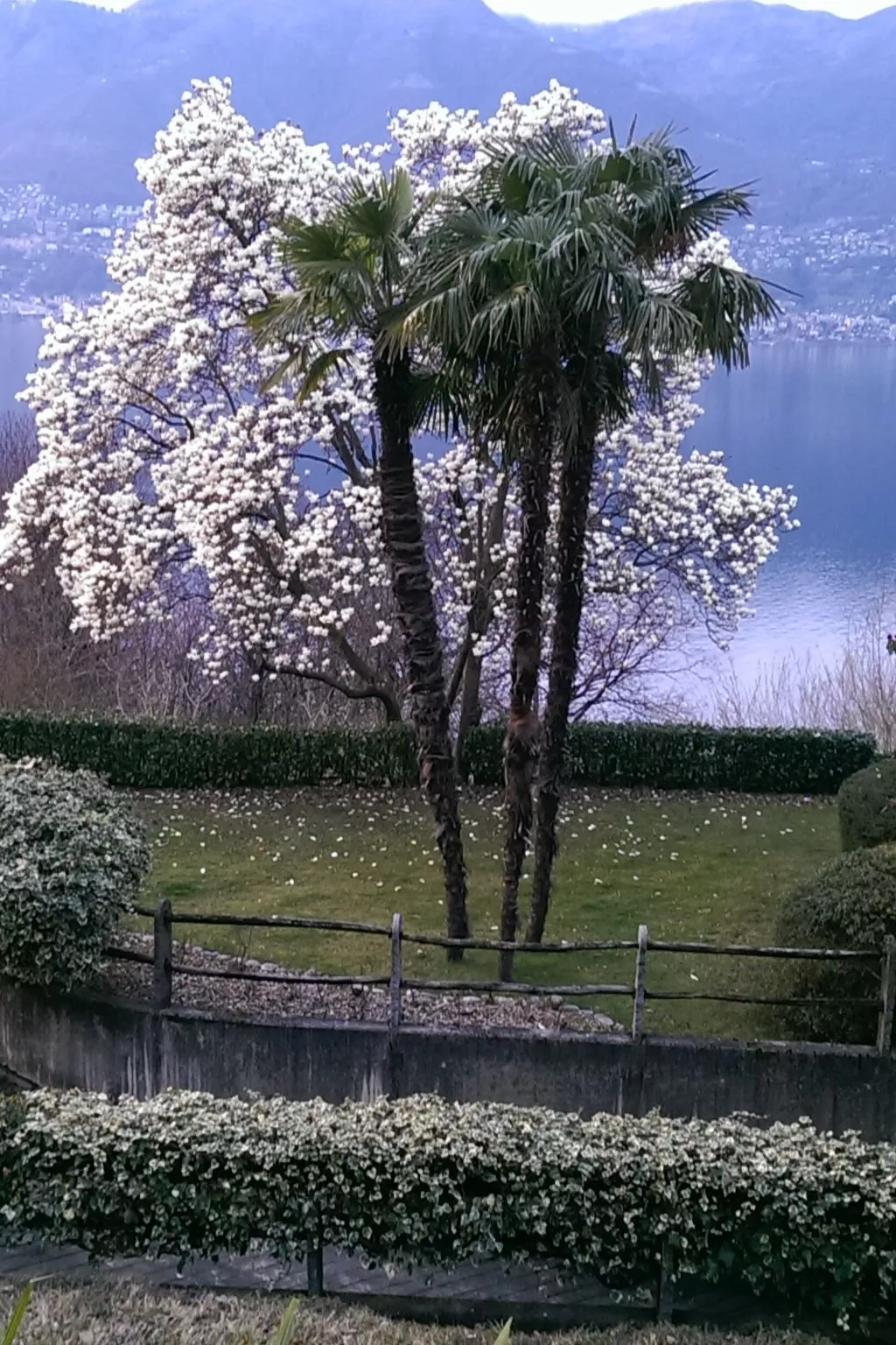 Residenza Viramonte - Casa Fiona, Wohnung 52 - Buiten