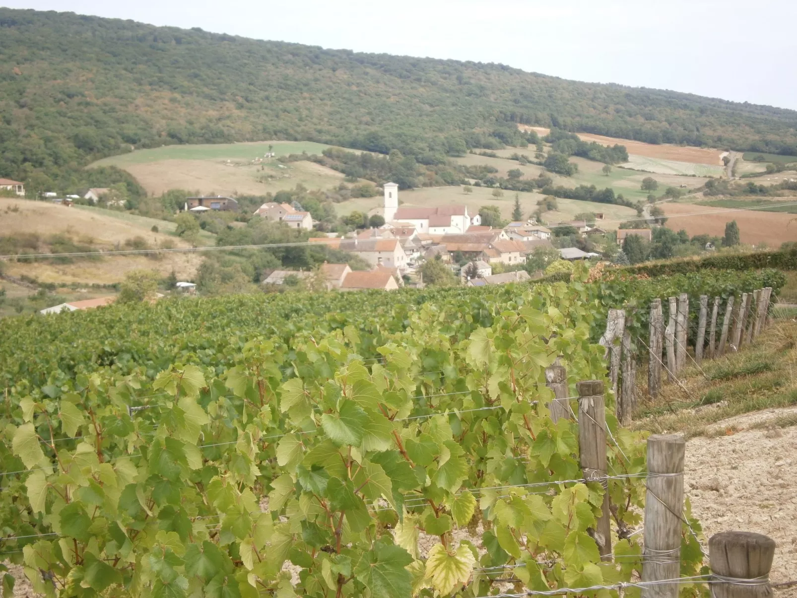 An der Weinstraße von Burgund-Buiten