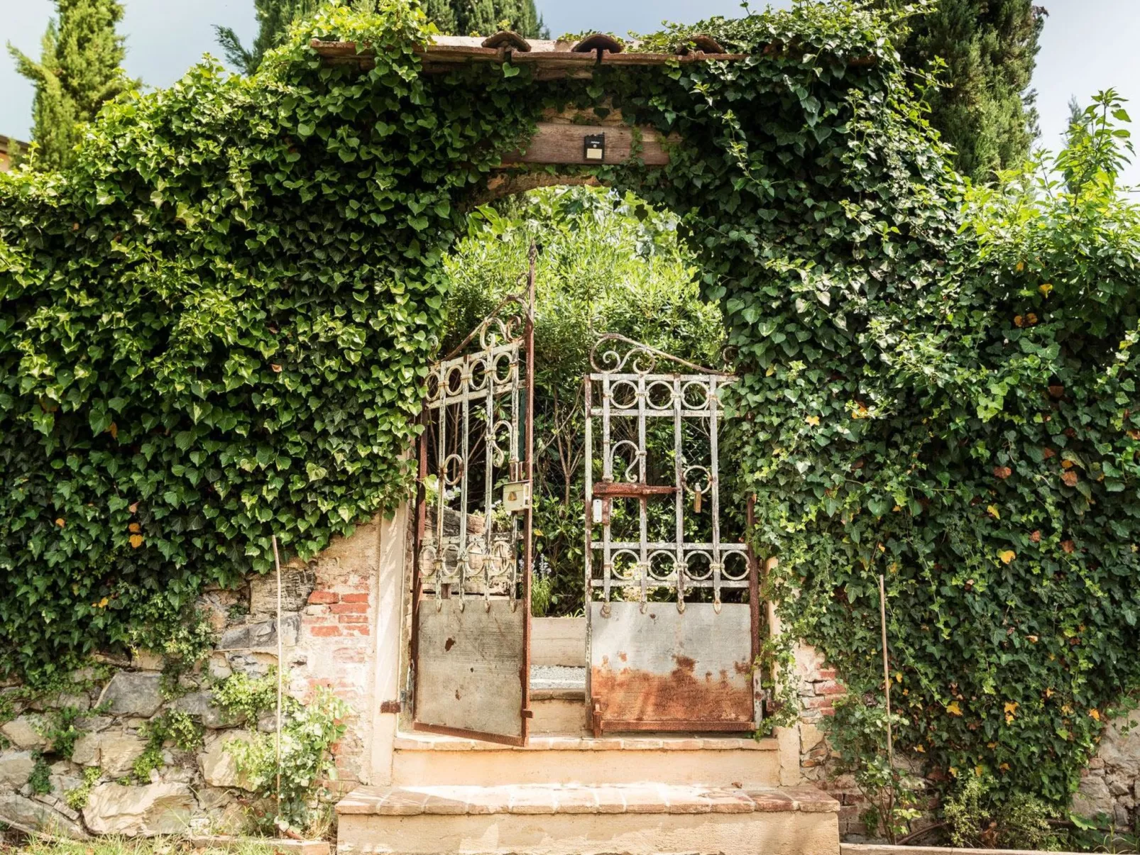 RUSTICO DORA-Image-tags.info