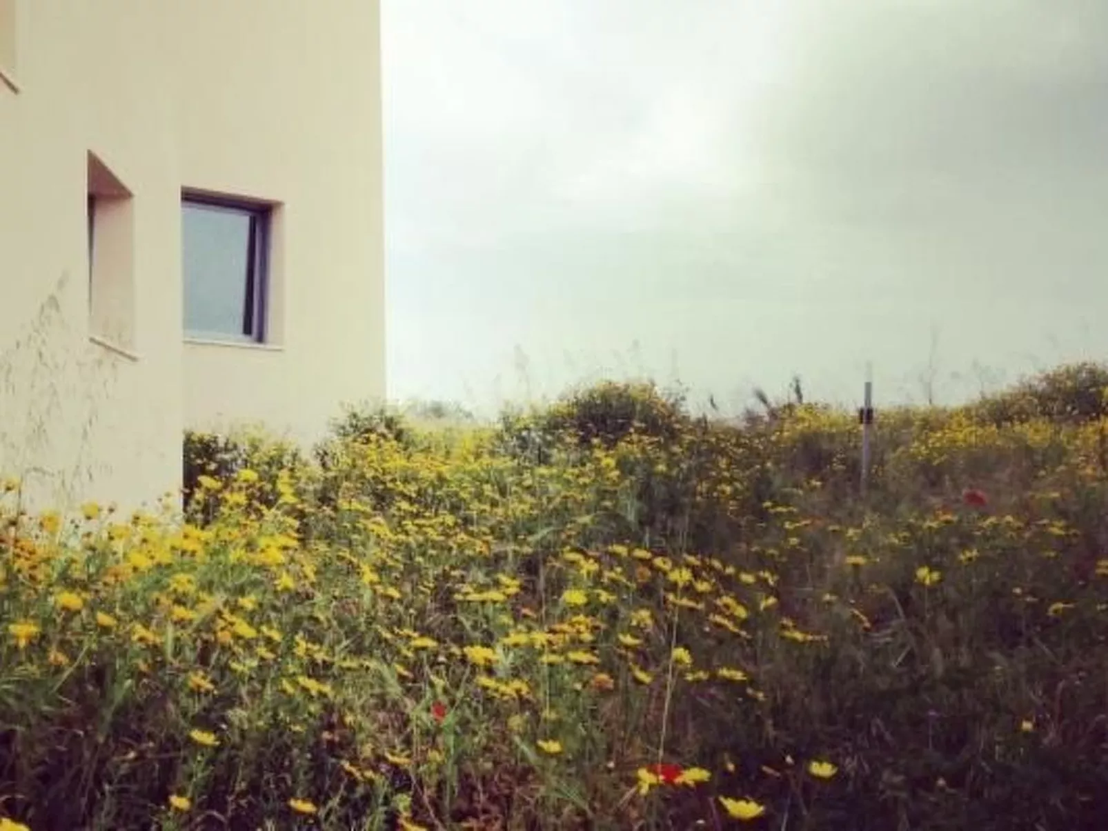 Villa Vendicari in Calabernardo-Buiten