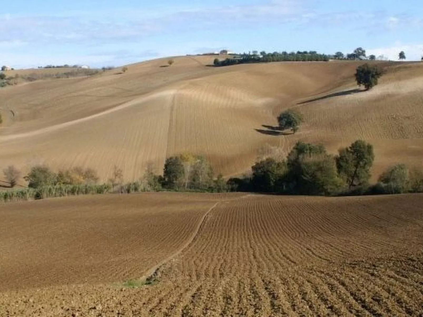 'Casa il Girasole'-Buiten