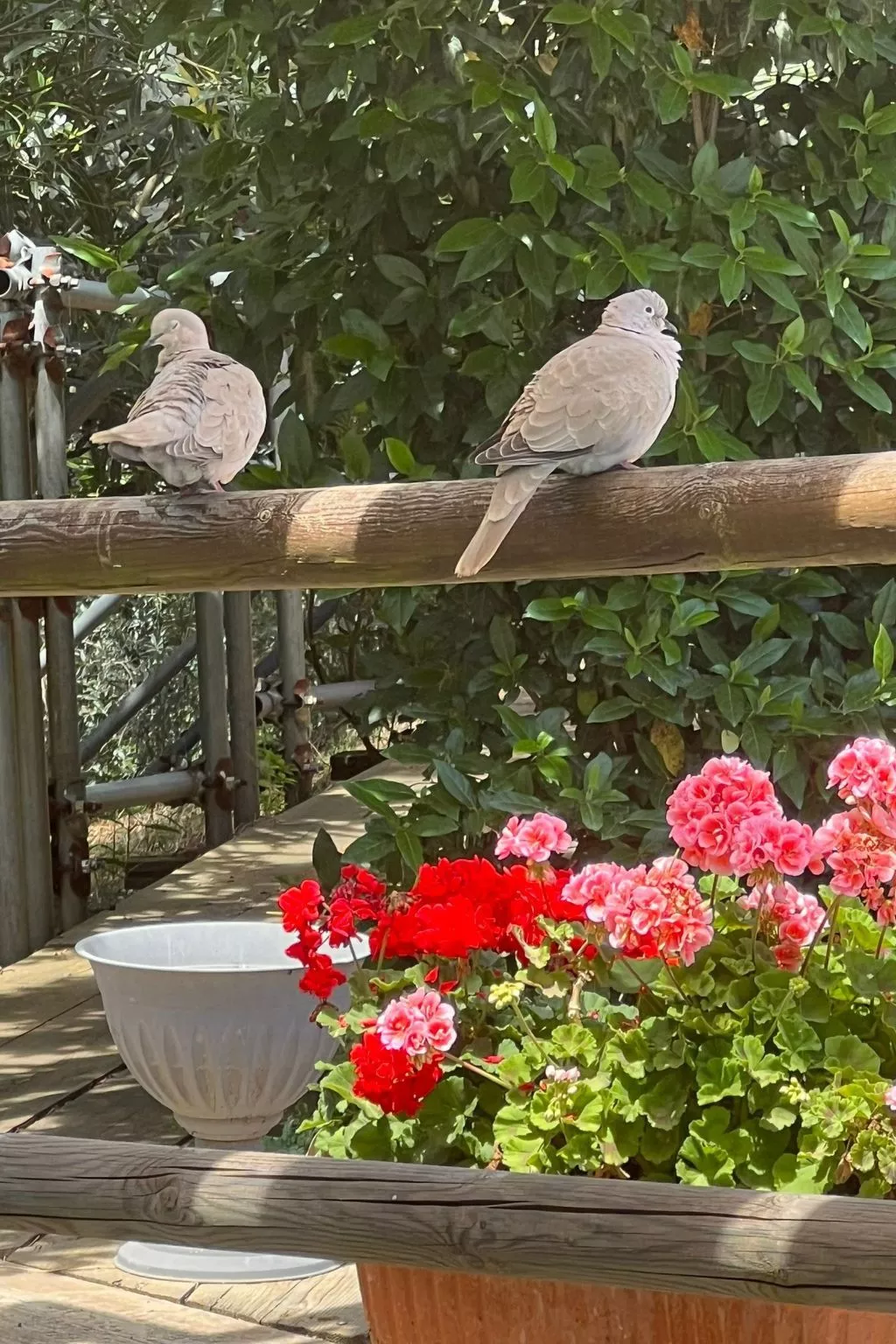 Bauernhauswohnung mit großer Terrasse-Buiten