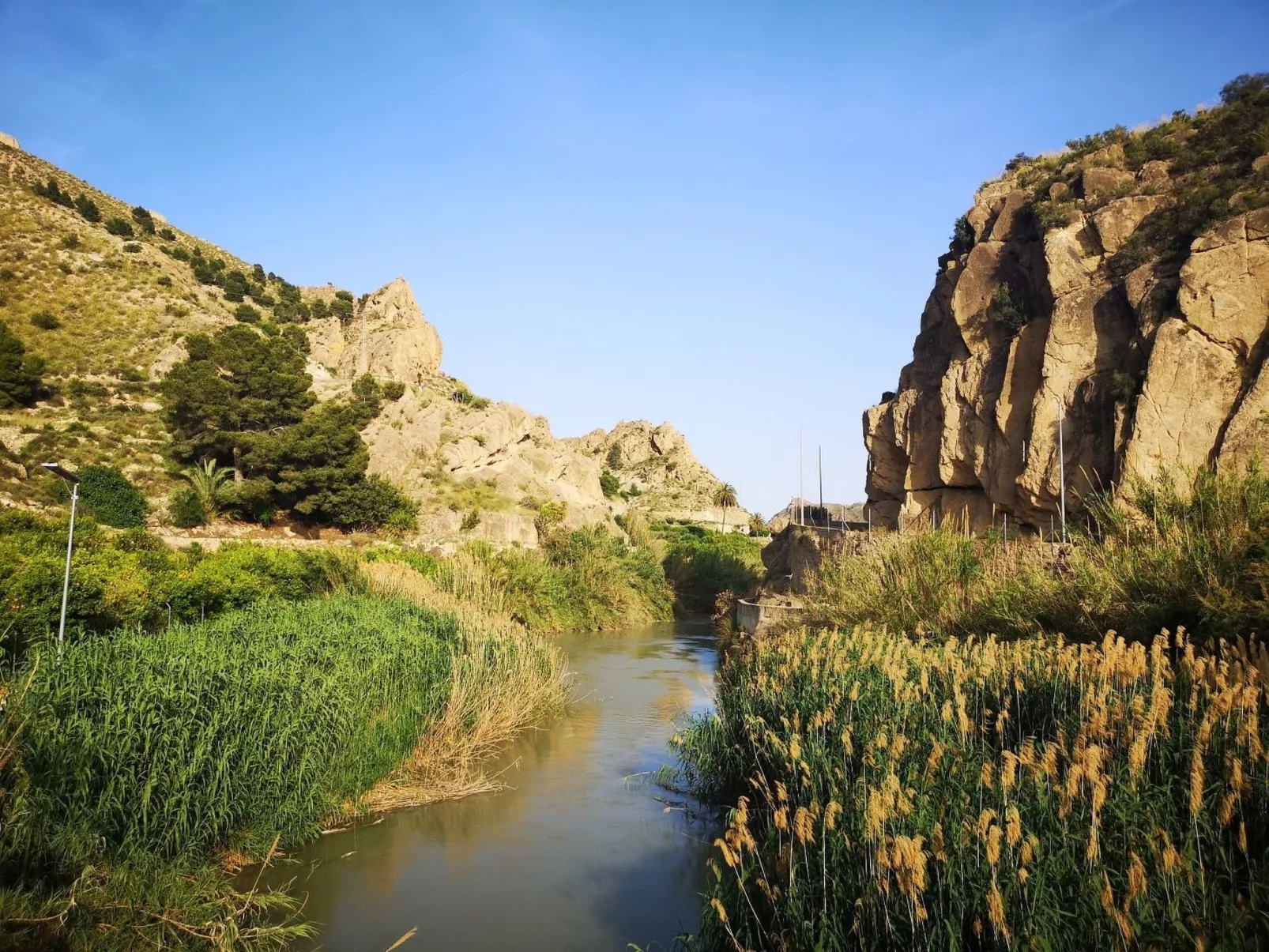 Domicilio de Vida-Image-tags.info