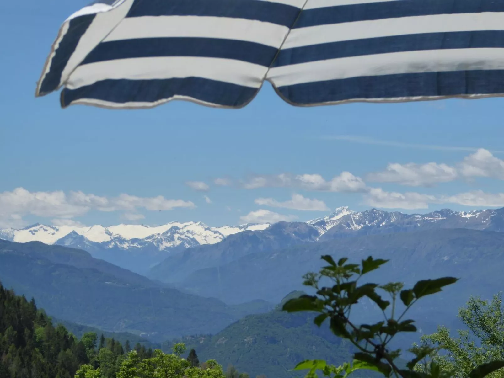 Maso Tòttn-Image-tags.info