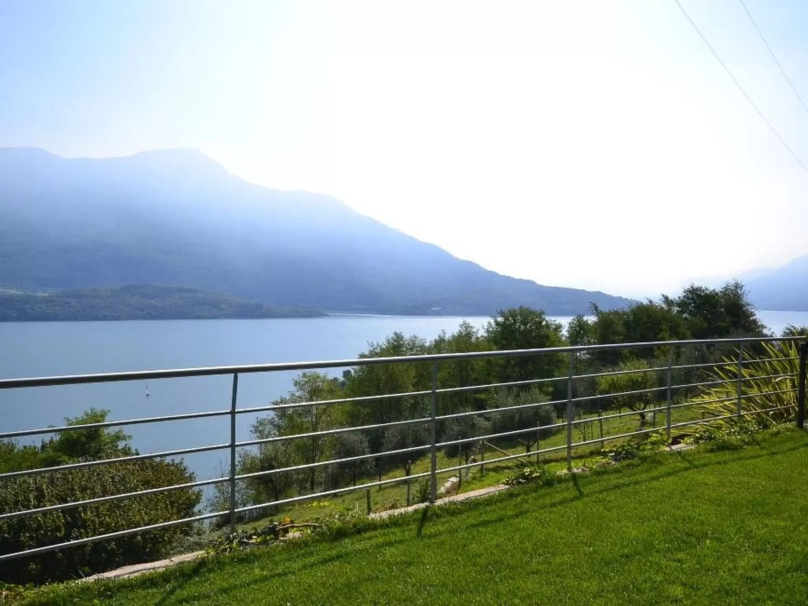 Gelsomino-Image-tags.info