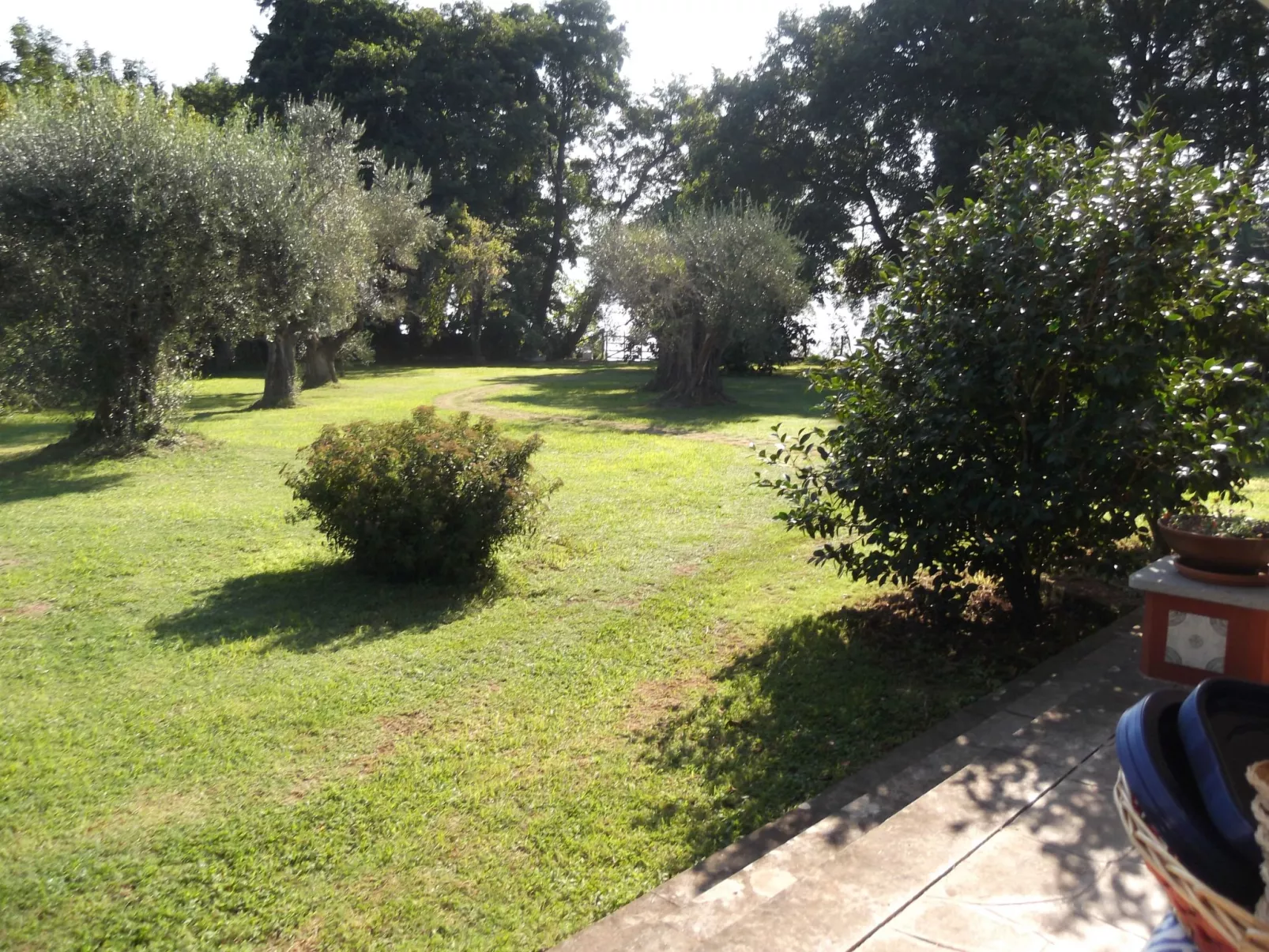 Mit Wasserblick-Image-tags.info