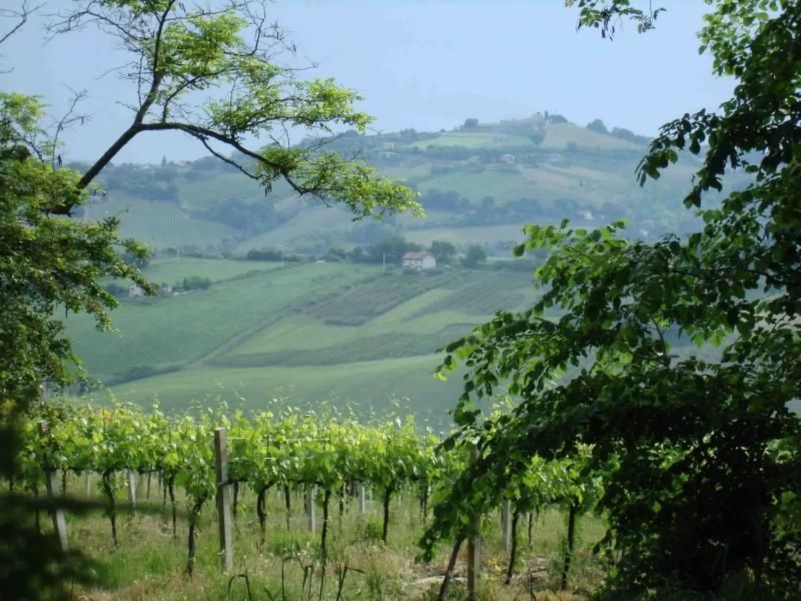 Charmante Lösung, Schwimmbad 10 Minuten vom Meer entfernt-Buiten
