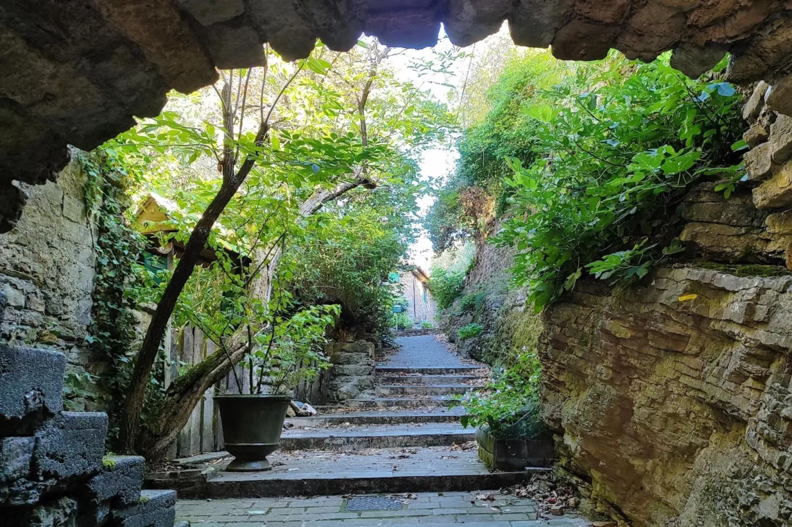 Mirabeau-Gebieden zomer 1km
