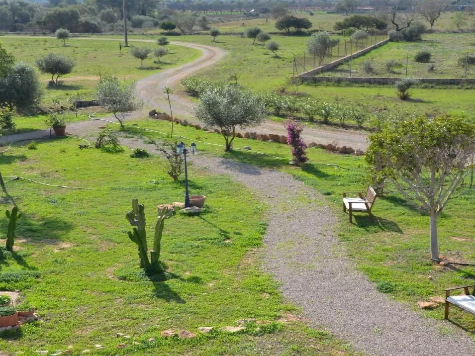 Sohn Fred, Campos-Buiten